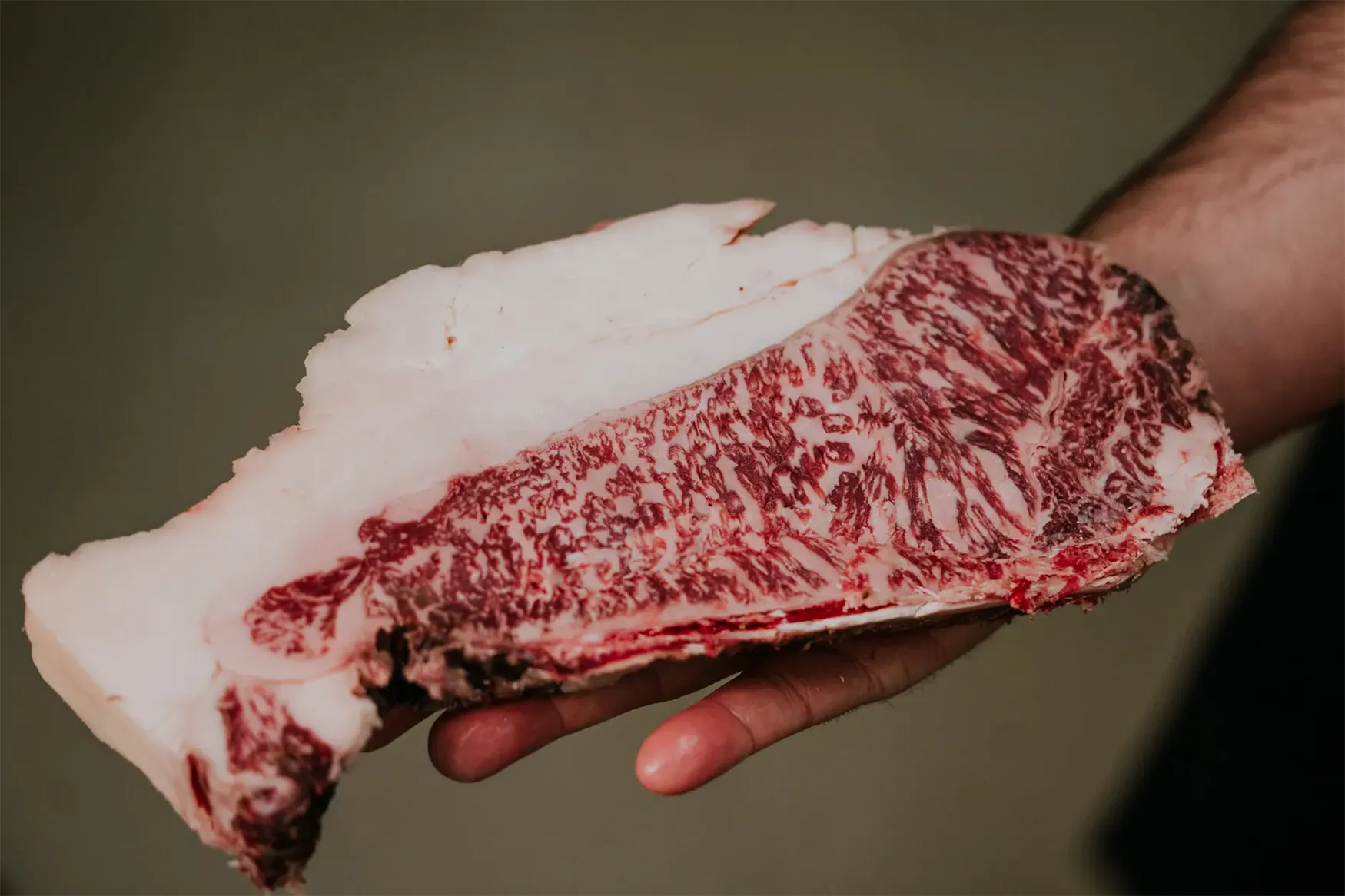 Txuleta de vacuno cruda con una marcada infiltración de grasa, sostenida en una mano, seleccionada por Asador Nicolás en Tolosa.